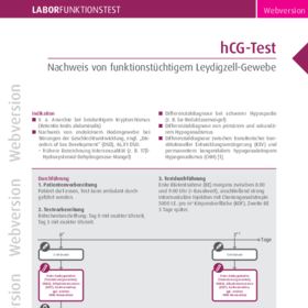 hCG-Test