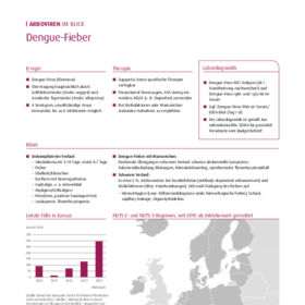 Merkblatt Dengue-Fieber