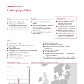 Merkblatt Chikungunya-Fieber